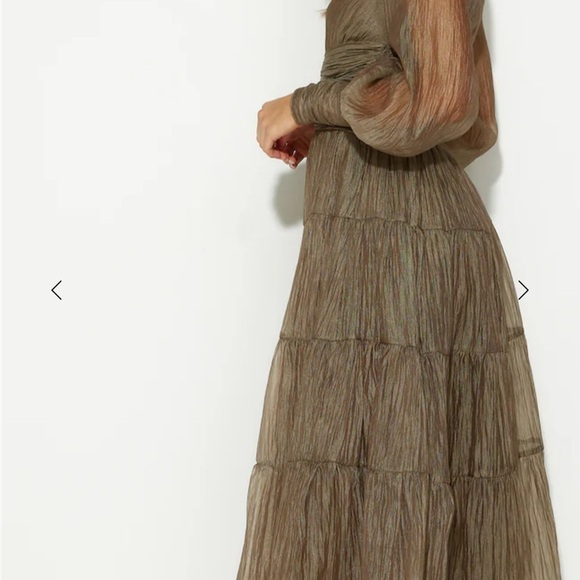 NWOT Hello Molly GIRLS THRIVING LONG SLEEVE MAXI DRESS KHAKI Sheer Women’s US 4 - Picture 3 of 16